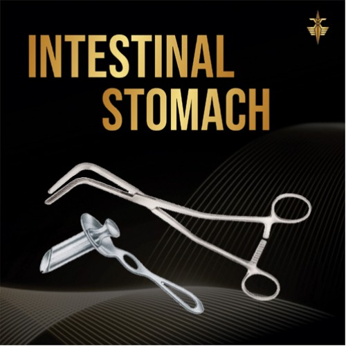Intestinal & Stomach
