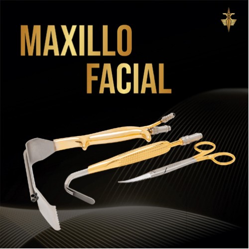 Maxillo-Facial